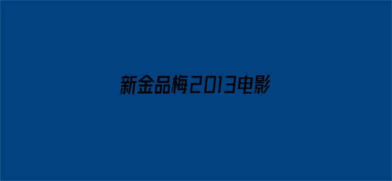 新金品梅2013电影