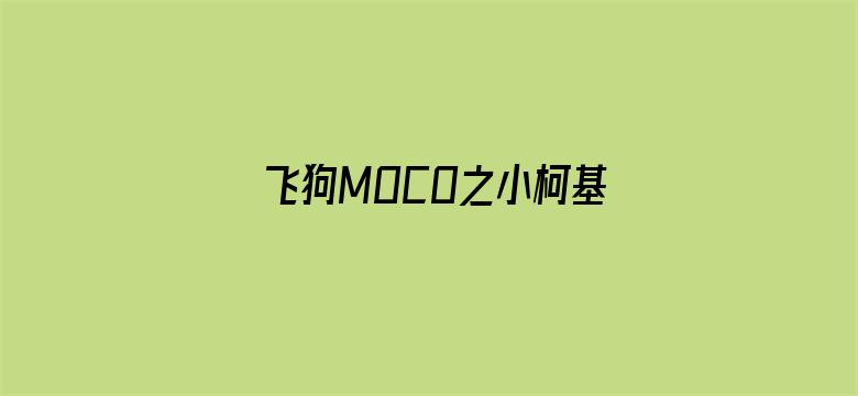 飞狗MOCO之小柯基的脑洞时刻